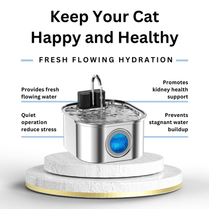 Cat Water Fountain