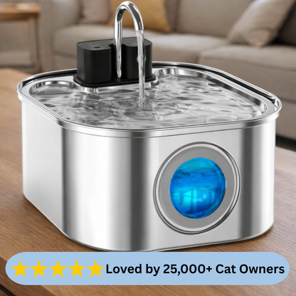Cat Water Fountain